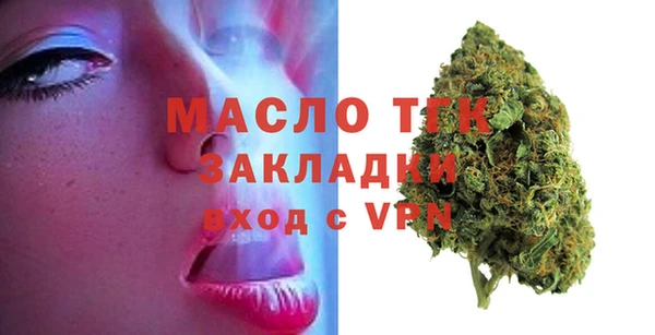 2c-b Инсар