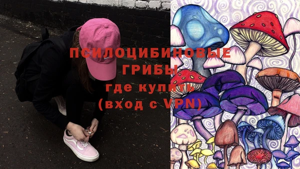 ПСИЛОЦИБИНОВЫЕ ГРИБЫ Иннополис