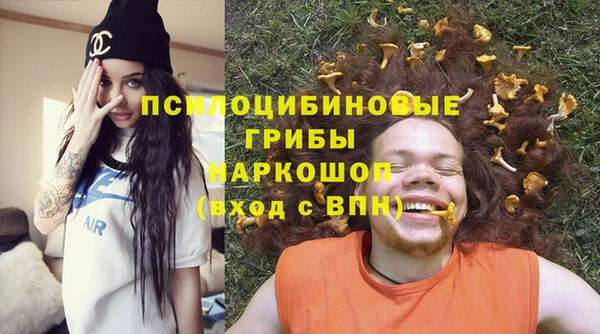 2c-b Инсар