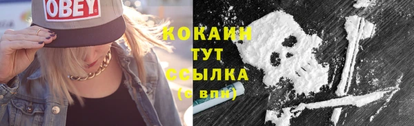 2c-b Инсар