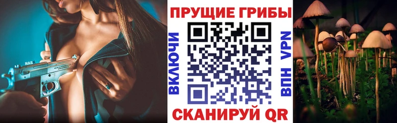 Псилоцибиновые грибы ЛСД  Купить где  Вятские Поляны 